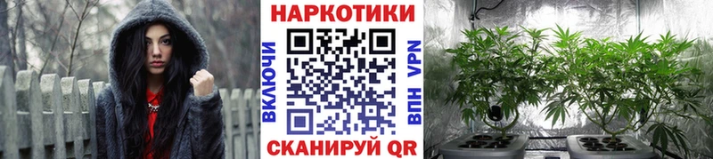 Купить наркотики сайты Северск ГАШИШ АМФ Мефедрон
