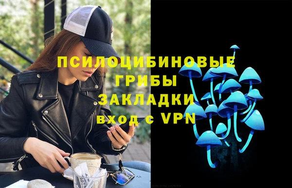 меф Белокуриха