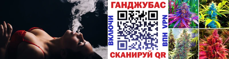 Конопля планчик  Северск 